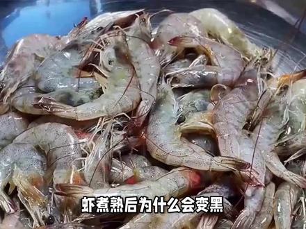 虾煮熟后,为什么会变黑?变黑的虾还能吃吗? #虾 #虾变黑了能吃吗 #虾变黑了 #美食 #科普#知识#生活常识