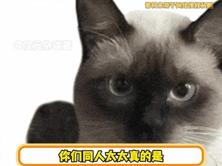 端着碗进来,端着表情包又出去了#同人#二次元#表情包