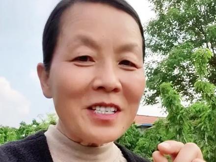 为了防喜鹊刨玉米苗,我从网上学了一个小妙招,5天的时间过去了,这个小妙招到底能不能管用呢?#抖音记录农村生活#三农#防鸟妙招 #抖音新农人