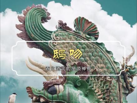 鸱吻,吞火消灾的屋顶神兽。
鸱吻(又称螭吻、鸱尾、蚩尾、鳌鱼、吞脊兽等)是中国古代建筑屋脊正脊两端的一种装饰构件。它不仅是精美的艺术品,更蕴含着深厚的文化内涵和实用功能。
在古代,木结构建筑最大的天敌是火灾。古人无法用科学完全解释和预防火灾,所以寻求一种更强大的象征物来“镇压”它,即“厌(yā)胜”。鸱吻正是这样的角色。
他的形象来源于龙、摩羯鱼或鲸鱼,而龙是司雨之神,居于深海。将其置于至高之处的屋脊,象征着“以水克火”,寄托了人们祈(qí)求避免火灾的美好愿望。而它那张开的大口,被想象成正在吞噬屋脊上的火苗,从而生动地表达了这一功能。
同时作为龙子之一的鸱吻,被安置在最高等级建筑(如宫殿、太庙)的最高点,代表着皇权的至高无上和神圣不可侵犯。它俯视众生,彰显着天子的威严。
因为中国古代建筑的大屋顶极具视觉冲击力,但巨大的屋面需要一个强有力的结束。鸱吻正好位于正脊的两端,稳稳地“锁”住了整个屋顶的轮廓,避免了庞大屋顶带来的笨重感和视觉上的“漂浮感”,使建筑的整体构图更加稳定、完整。同时鸱吻尾部高昂向上的动态趋势,打破了庞大屋顶的沉闷和压抑感,为建筑增添了向上的动感和飞扬的气势,实现了“静中有动”的艺术效果,堪称整个建筑的“画龙点睛”之笔。
#中国古建筑之美 #古建美学 #鸱吻 #古建筑构件