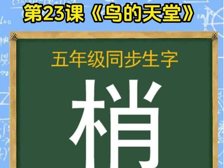 “梢”字的规范写法 #识字 #练字