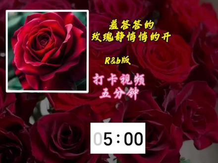结尾有提示音#音乐分享#五分钟#365天打卡挑战#歌词句句入心#羞答答的玫瑰静悄悄的开