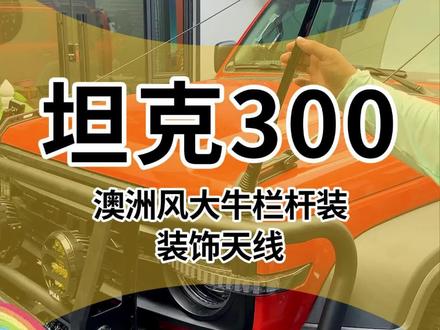 坦克300装澳洲风大牛栏杠装饰天线#坦克300改装#澳洲风大牛栏杠#天线#坦克300越野改装#越野改