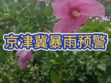 京津冀暴雨增强!根据中央气象台5月16日最新预报,5月17日到18日,京津冀一带的强降水较之前的预报增强不少,其中北京由中到大雨升级为大到暴雨!天津全市大雨!河北除张家口和承德北部之外,其余地区均为大雨或暴雨!主要降水时间为17日!星期天大家老实在家呆着#暴雨#河北暴雨#北京暴雨#雷暴大风或冰雹等强对流天气#天津大雨