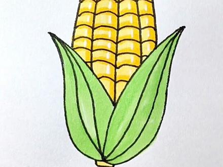 我们一家四口画的玉米。#简笔画 #一起学画画 #画画 #画渣日常 #儿童画 @抖音青少年