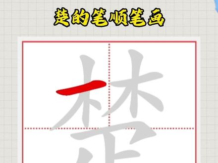 楚的笔顺笔画#笔顺笔画 #练字 #汉字 #写字