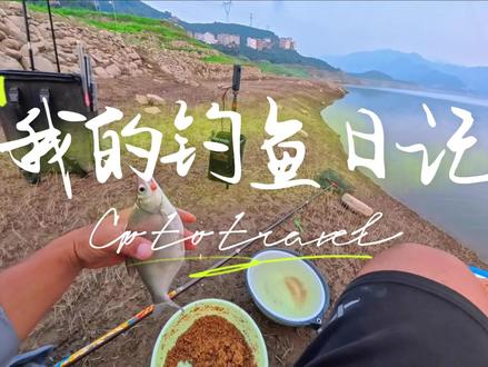 粉饵上鱼还是比玉米快点 #滑漂钓法