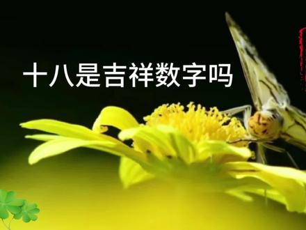 十八是吉祥数字吗 #知识 #知识分享 #数字
