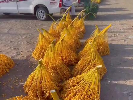 跑步的好处与功效男人 36c05e7f06f857bf395bbbdce6ff33ea~tplv-dy-resize-origshort-autoq-75:330.jpeg?x-expires=2013260400&x-signature=R%2FbgFkD1eGmg16l2c4cQNgI%2F0jE%3D&from=3213915784&s=PackSourceEnum_AWEME_DETAIL&se=false&sc=cover&biz_tag=pcweb_cover&l=20231021233941EB8604274878ABE0369E