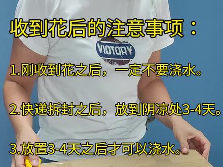 #沙漠玫瑰#收到后的日常养护方法