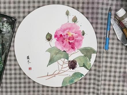 水彩花卉教程分享|国风芙蓉画法详解#绘画过程分享 #水彩 #手绘 #一起学画画 #水彩教程 #原创 #每日一画