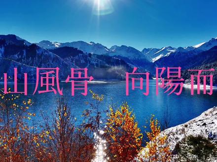 雪山风骨,向阳而行
远赴天山,赴一场与雪山碧水的千年之约。博格达雪峰横亘天际,沉雄霸气、巍峨壮阔,以顶天立地之势,撑起西北苍穹,大气磅礴,自带凛然风骨。雪线之上,冰清玉洁、万古沉寂,那是岁月沉淀的庄严,亦是山河不动的底气。
天池静卧群山之间,一汪碧水如天然碧玉,翠色温润、澄澈见底,静时宛若明镜,将雪山、云天、松林尽数揽入怀中,倒影清绝,虚实相融,美得动人心魄。两岸云松傲然挺立,红松苍劲、绿松挺拔,雾凇凝霜、冰柱垂悬,银装与翠色相映,清冷中藏着生生不息的倔强,风骨凛然,向阳而生。
这是亿万年的等待,是山河酝酿的绝色。纵山路迢迢、旅途千辛万苦,风尘仆仆而来,只为这一眼心动、一眼震撼。天地壮阔,山水清嘉,所有跋涉皆有归途,所有奔赴皆有回响。
见过雪山巍峨,便懂心怀敬畏;拥过碧水清澄,便知心向暖阳。以雪山为骨,以向阳为心,往后岁月,从容坦荡,步履不停,一切值得……#治愈系风景 ##自然之美 #诗意生活 #心灵之旅 #向阳而行