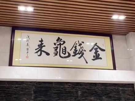 #乌龟生病 #乌龟喂食 判断乌龟是否生病后,要及时处理