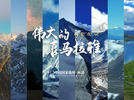 喜马拉雅的正确打开方式,巡礼巅峰之美! 如你所见,是这地球上最高的雪山,组成了八千米雪色的凌云壮阔,是这地球上规模最宏大的板块汇聚、碰撞,缔造了中国最极致的山河瞬间!
以东经82°和东经92°为界,喜马拉雅山脉可以分为西、中、东三段,中段以珠穆朗玛峰为核心的雪峰簇君临天下,引领着整个藏南高山谷地自然区地势最为高亢的部分。
在晴朗天气下,你可以到周围的山上远眺,因为这里的雪山实在是太过高大:
全球14座8000m级独立山峰中的10座位列于此,包括珠穆朗玛峰(世界第一高峰)、洛子峰(世界第四高峰)、卓奥友峰(世界第六高峰)、道拉吉里峰(世界第七高峰)、安纳普尔纳峰(世界第十高峰)...169座7000m级独立山峰中的83座,同样被其收入囊中,包括库拉岗日峰、纳木那尼峰、卓木拉日峰...
往往山越高,雪峰越是陡峻,发育的河流水量越大,流速越急,切开山脉的力量越足,比如切穿喜马拉雅山脉的山脊线,向南奔流而下,而被称为“先成河”。
还有一些河流由于侵蚀切割的力量较弱,无法抵消山体隆升的速度,因而逐渐萎缩在山体北麓,玛旁雍错、羊卓雍错、佩枯错等一系列大湖,就发育其中。
以及喜马拉雅山脉中段的1000公里,还有6条大深沟,南北向切开了喜马拉雅,如吉隆沟、绒辖沟,让印度洋的暖湿气流足够深入,孕育出两种截然不同的自然风光。
摄影/@Paulownia董书畅 #喜马拉雅 #雪山会听见你的愿望 #旅游推荐官 #西藏 #航拍中国