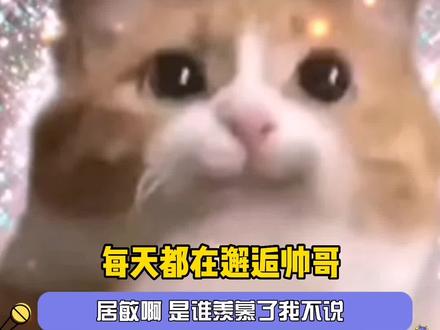 这是怎么挑的!#帅哥 #网友偶遇到的英国帅哥 #娱乐评论大赏