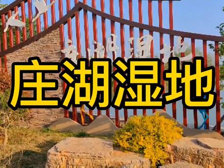 日斜湖上孤桥影,草绿庄湖万里情,春风并酒,可醉万千风月 #美丽宜居村庄 #最美乡村风景 #新农村