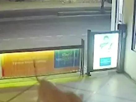 一头狮子半夜抛进居民小区觅食 #监控下的一幕 #神奇动物在抖音