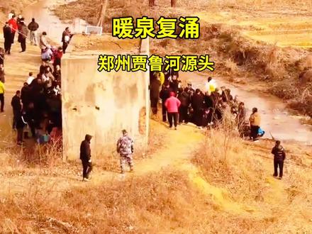等了32年!郑州贾鲁河源头“暖泉”复涌!水温30多度!#郑州贾鲁河#温泉#无人飞机航拍