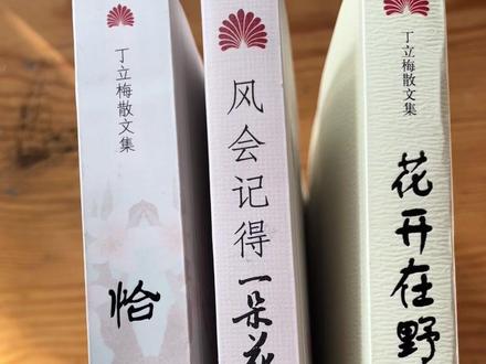 丁立梅的散文集(三册)#丁立梅#散文