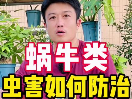 蜗牛、鼻涕虫、螺钉虫……如何处理这些烦人的“小可爱”?今天教你几招组合拳。#种植小技巧 #我的小菜园 #种花种菜 #来抖音学农技 #新农人计划2022