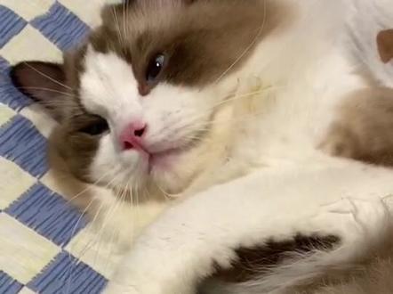 贾旭明 五行缺德 老爱占别人便宜 竟被说的冠冕堂皇 抖音 贾旭明 五行缺德 老爱占别人便宜 竟被说的冠冕堂皇 抖音