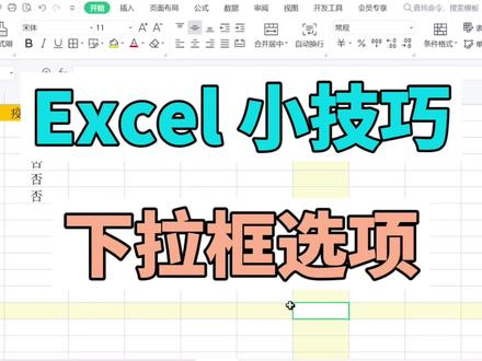 excel 小技巧 下拉框选项#office办公技巧 #excel教程 #excel技巧