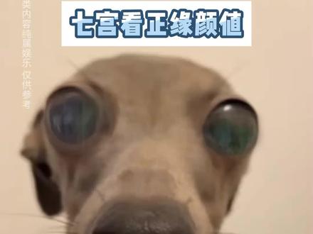 七宫看正缘颜值 #星盘分析 #七宫 #女生必看