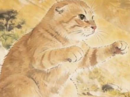 我的刀盾妄想挑战神明#哈基米 #耄耋 #橘猫 #我的刀盾