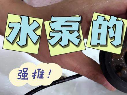 水泵有异响该怎么处理? #养鱼日记 #养鱼日常维护