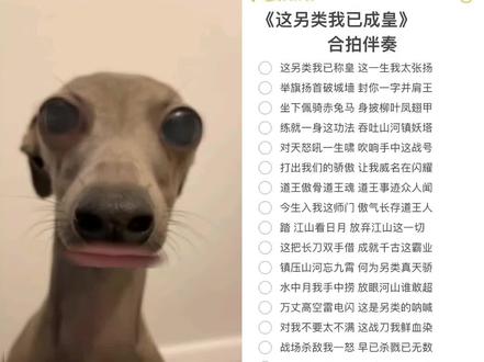 这另类我已称皇#喊麦无声卡 #清唱 #无声卡