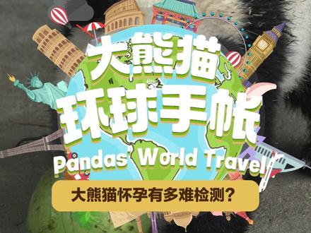 一起来跟着新加坡奶爸“涨姿势” #大熊猫怀孕有多难检测 ?🧐从发现熊猫妈妈怀孕到熊猫宝宝出生只有仅仅5天?☺️☺️ #大熊猫环球手帐 #大熊猫 #神奇动物在抖音 #我们的熊猫宝宝被很多人爱着