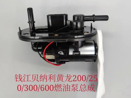 电喷车燃油泵总成