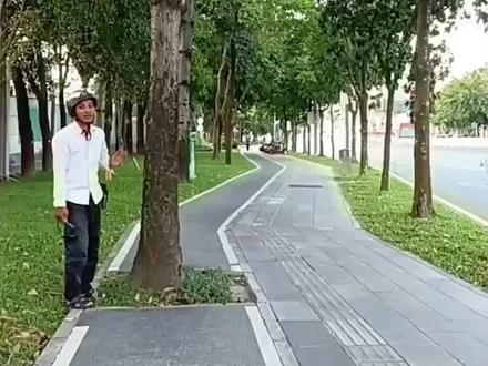 #跨行实拍 #全民看深圳 深圳骑车道路中的钉子树