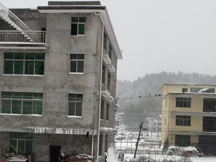 2025年11月17日湖南下起了第一场雪#雪