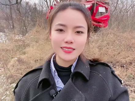 陕西旬阳市千年大槐树曾救人性命,你相信吗?#千年老树 #百年古树 #千年大槐树