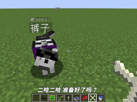 我的世界Mod:秒天秒地的狗变身奥特狗?拥有这样的战斗力会怎样