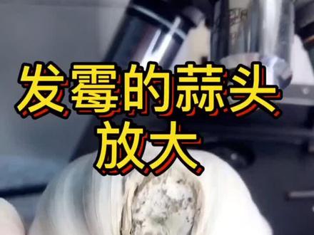 生的蒜头你敢吃吗,我是从来没吃过#健康
