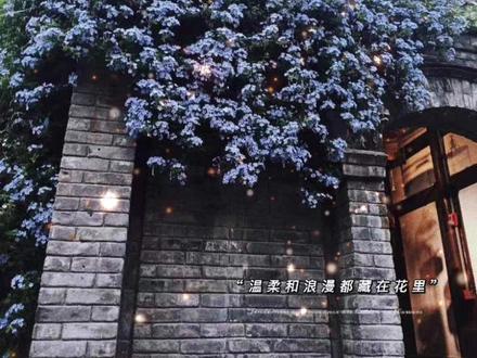 “薄妄,当初签好的合约,哺乳期一过就结束,但现在我又不用母乳喂养,那是不是可以提前……”
“提前什么?”
薄妄打断她的话,声线很沉,
鹿之绫坐在那里“提前离婚。”车子在晃荡。
悬崖边,一截护栏掉落下去,传上来一阵闷响。深渊就在他们的脚下。鹿之绫用力地吸气,无法相信地看向身旁的男人,“薄妄……”
薄妄坐得从容淡定,从车上摸了一盒烟,他低头点烟。
鹿之绫被悬崖上的风灌得发冷。
薄妄看着前面,脚下虚踩着油门,他忽然低笑一声,笑得有些漫不经心,“你刚才说什么,我好像没听清。”
“……”
“你是说……离婚?嗯?”
鹿之绫的脸有些苍白,定定地看着他,面对他这样疯狂的举动,她开不了口。为了肚子里的孩子,鹿之绫被迫嫁给疯批大佬,所有人都猜她活不到生崽之日。
为保命她开始攻略,一不小心成了他的心尖宠。后来,她准备跑路
“……”
“来,过来。”
他牵着她走向那个房间。
一看到那扇门,她就恐惧起来,她挣扎,“不要,薄妄,我害怕那里,你别让我进去……”
薄妄回头,慢条斯理地道,“可你不听话。”
“我不进……我不要进去……”
鹿之绫摇头,不住地往后退,
他握紧她的手,将她白皙的手背握出红痕。
这么害怕么?
他将那条沉甸甸的锁链拎了出来,锁链拖在地上,发出碰撞的清响。
“……”
鹿之绫捏紧了手指,看着他步步后退,靠到冷冰冰的墙壁上,呼吸乱了均匀,“我不出去,你别锁我。”薄妄看着她,笑了,邪气至极,“你早这么乖不就好了?”
“……”
“可你现在,没机会了。”薄妄拿出工具箱,将锁链的一端敲进墙体,固定住,他朝她走过去,再一次握住她冰冷的手。
强硬地将她拉到粗重的锁链前,薄妄将锁链一头的铐锁铐上她的手腕。
薄妄再度捧起她的脸,温热的指尖轻抚她的脸,低下头,薄唇暧昧地贴上她的耳朵,声线性感而残忍,“之之,乖乖留在我身边,逃跑的人要受惩罚。”