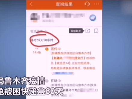 “史上最忐忑”开箱#爬宠