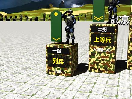 军衔等级体系划分 #军衔 #军衔等级 #数据可视化