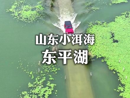 山东小洱海,东平湖 #山东好客自驾游 #济南自驾游 #东平湖 #东平湖环湖公路 #假期去哪儿玩