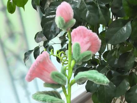 不用打胶的牵牛花,请忽略我的小黑手##扭扭棒手工