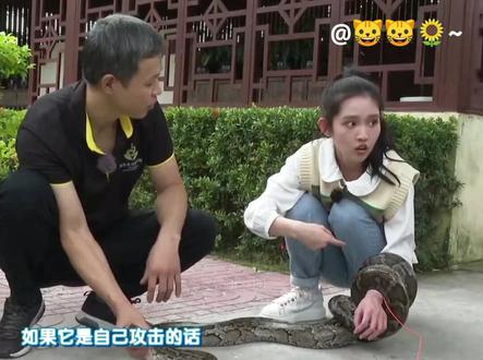 #金鹰卡通 #飞行家族#小兔姐姐#童趣大冒险 真有够吓人的😨