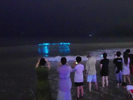 宁波蓝眼泪大爆发 2026.5.24日,原来凌晨的海还有那么多的人,宁波松兰山Nan沙滩的蓝眼泪直接封神,自动挡欣赏,这几天还有,千万别错过了。#宁波文旅#松兰山#象山松兰山#蓝眼泪#宁波风光小组nbp