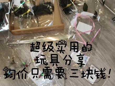 超级实用的玩具,分享均价只需要3块钱 #真实生活分享计划 每一个都很特别,拿出来猫咪都会疯玩的程度!