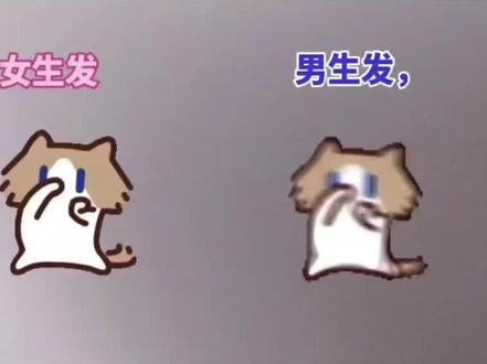 月薪喵#表情包 #我真的特别爱你 免费领在#剪映