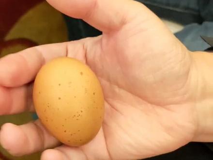 我见过胸口碎大石,但没有见过一只手能把一只熟鸡蛋捏碎,试了好几个人都不行,你们可以试试!