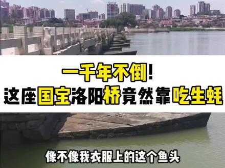 人类第一座跨海大桥,是1000年前中国人在福建修的洛阳桥,为啥在福建却要叫洛阳桥?台风,地震,轰炸都不倒,竟然是吃了生蚝?文化和自然遗产日老王带你去打卡1000年国宝大桥洛阳桥
#泉州 #洛阳桥 #历史古迹
#中国桥梁 #历史
