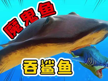 我进化成了巨无霸,横行海域#游戏中的扎心一幕 @游小浪Game