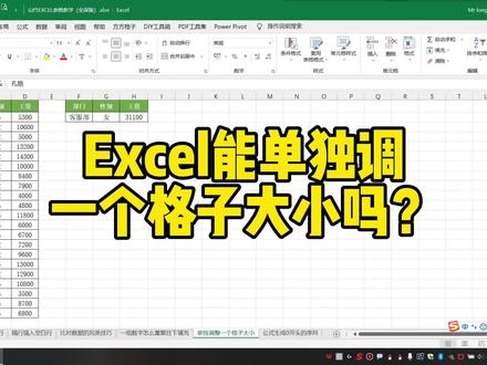 Excel能单独调一个格子大小吗?